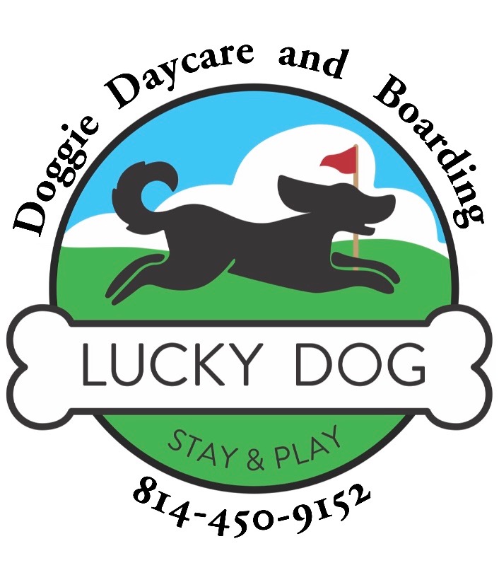 Lucky Dog Stay and Play
