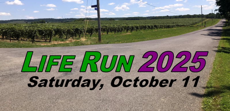 Life Run 2025
